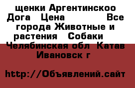 щенки Аргентинскоо Дога › Цена ­ 25 000 - Все города Животные и растения » Собаки   . Челябинская обл.,Катав-Ивановск г.